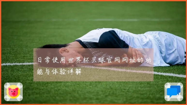 日常使用世界杯买球官网网址的功能与体验详解