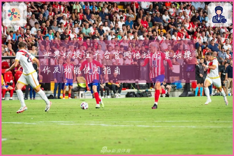 世界杯投注平台官网地址的基础操作及功能使用指南