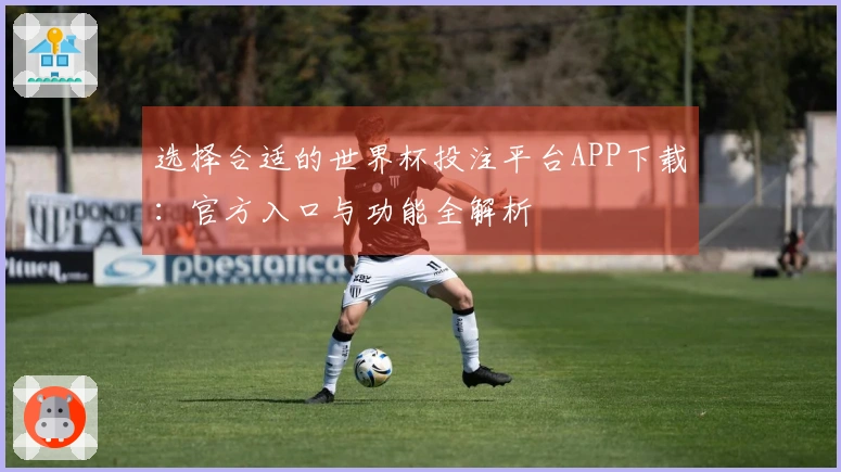 选择合适的世界杯投注平台APP下载：官方入口与功能全解析