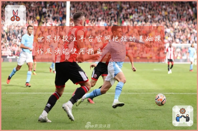 世界杯投注平台官网地址的基础操作及功能使用指南