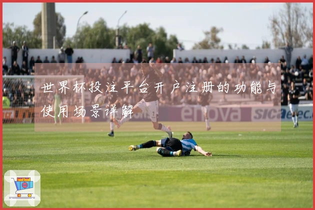 世界杯投注平台开户注册的功能与使用场景详解
