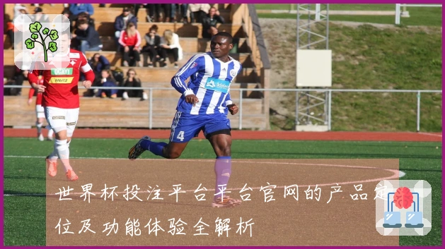 世界杯投注平台平台官网的产品定位及功能体验全解析