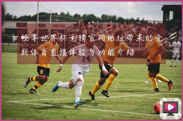 畅享世界杯竞猜官网地址带来的全新体育直播体验与功能介绍