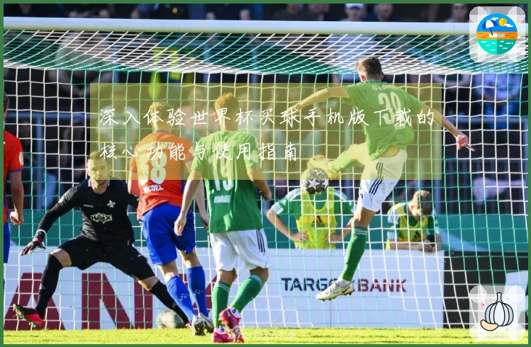 深入体验世界杯买球手机版下载的核心功能与使用指南